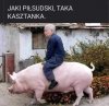 Takie rodeo ...
