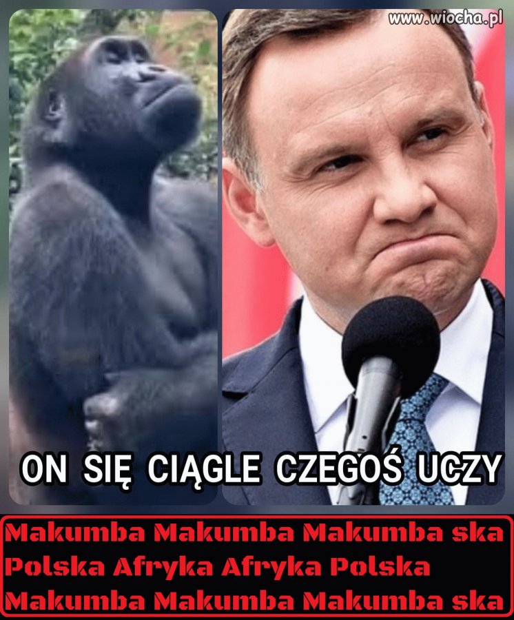 Polska - Afryka