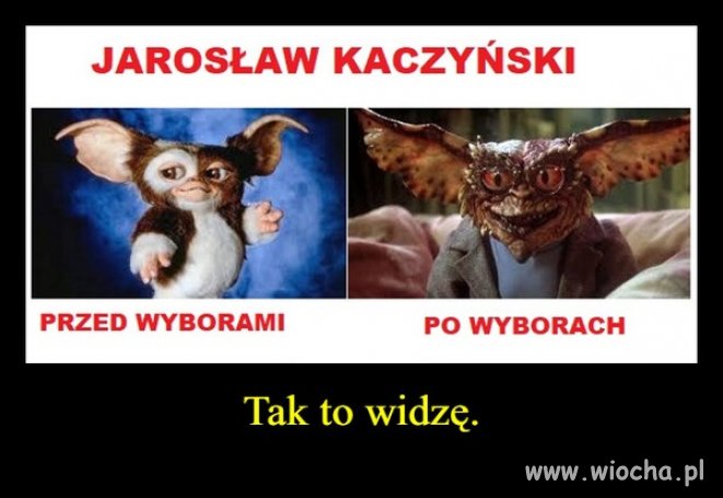 Nagła przemiana ...