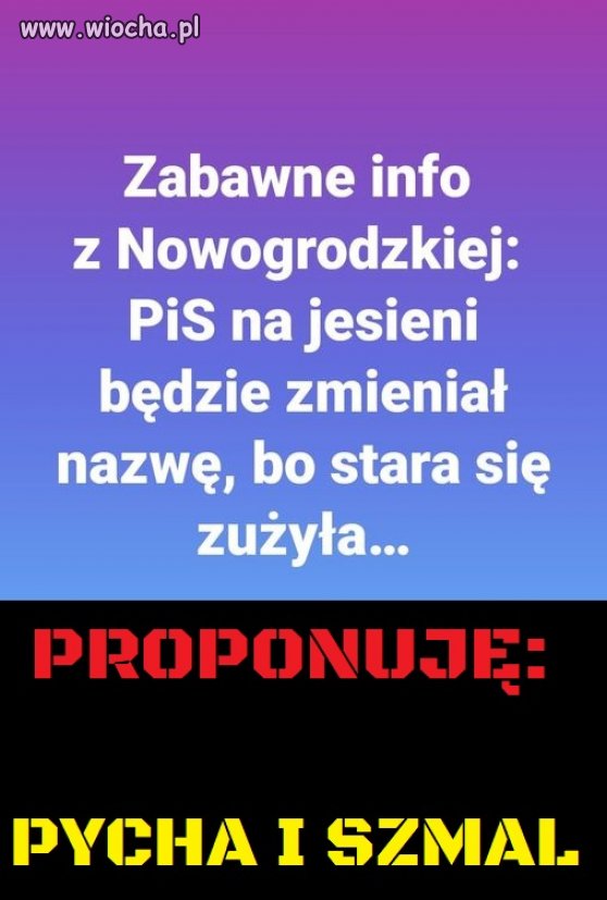Wstydzą się nazwy partii