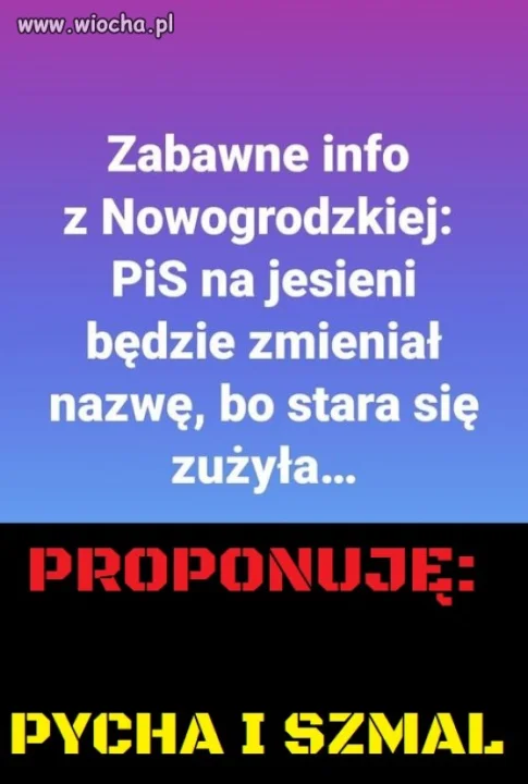 Wstydzą się nazwy partii