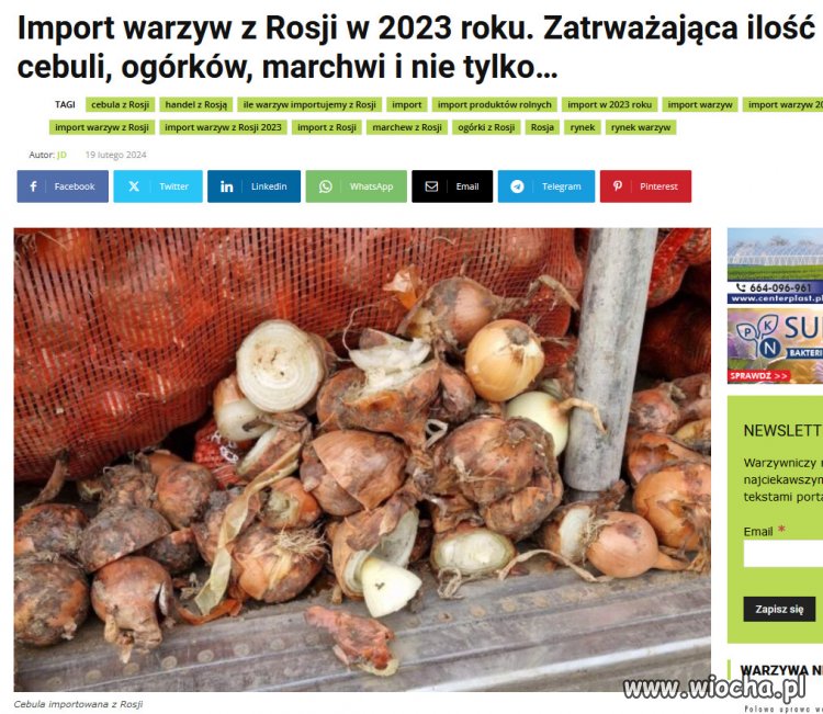 W 2023 roku import warzyw z Rosji do Polski wyniósł 38,74 tys. ton.