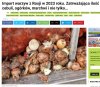 W 2023 roku import warzyw z Rosji do Polski wyniósł 38,74 tys. ton.