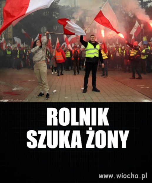 Jak widać, na gwałt potrzebna.