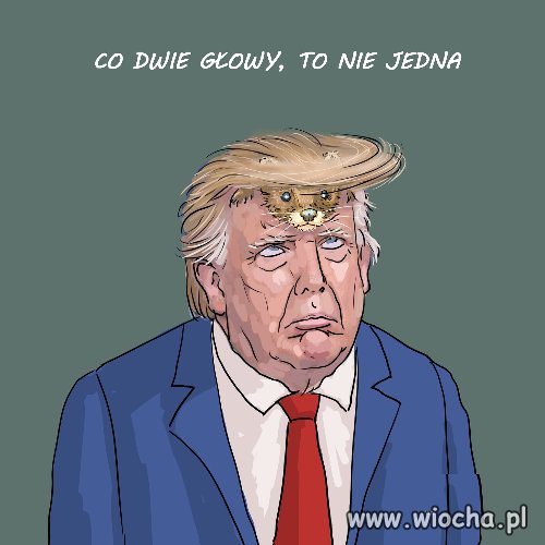 Co dwa Tygrysy, to nie jeden 