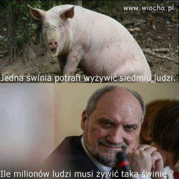 Czy ktoś może wie ?