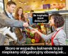 10 czy 20%?