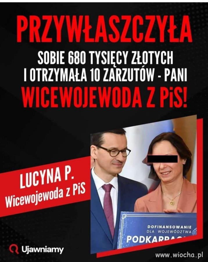 PiS to w 100% złodzieje
