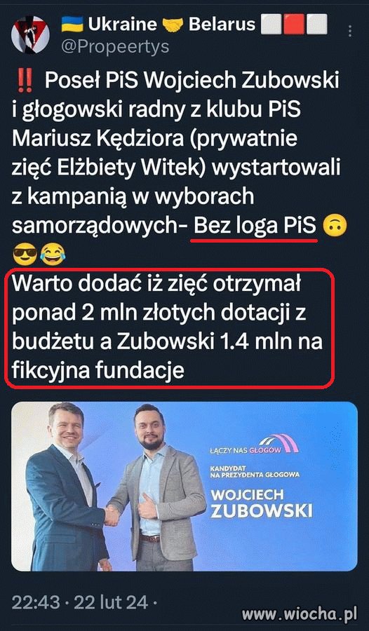 Pisowskie błazny