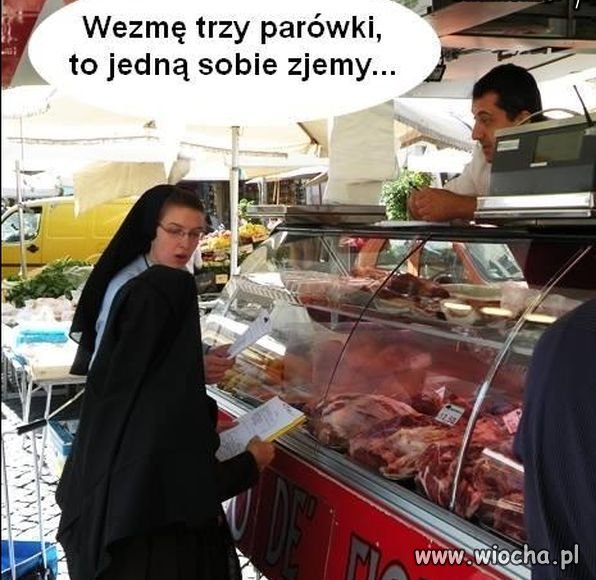 Pingwiny.
