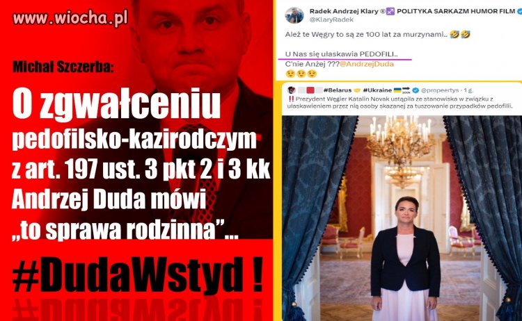 Nawet w takich Węgrzech Orbana prezydent ma jakiś honor. 