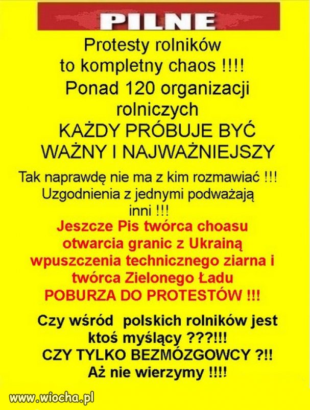 Wiejskiej holocie chodzi tylko o robienie zadymy !