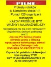 Wiejskiej holocie chodzi tylko o robienie zadymy !