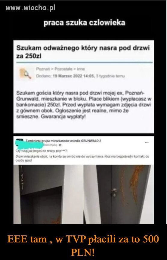 W TVP za sranie na kogoś publicznie
