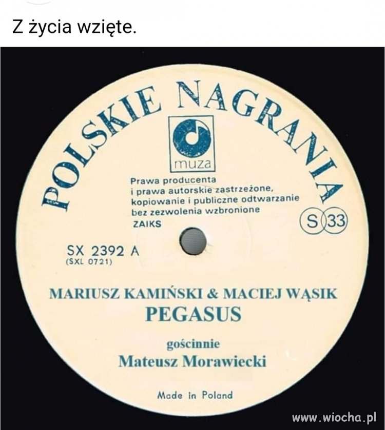 PiS w pigułce 