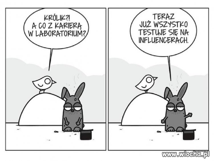 A im się wydaje, że są sławni