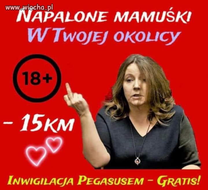 Pisowska reklama - nową pracę ma pewną, jak u Glapińskiego