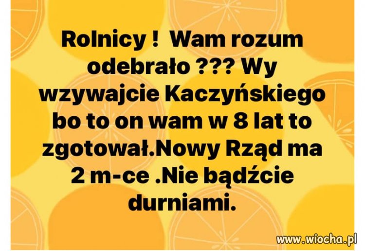 Gdzie żeście byli przez ostatnie 8 lat?