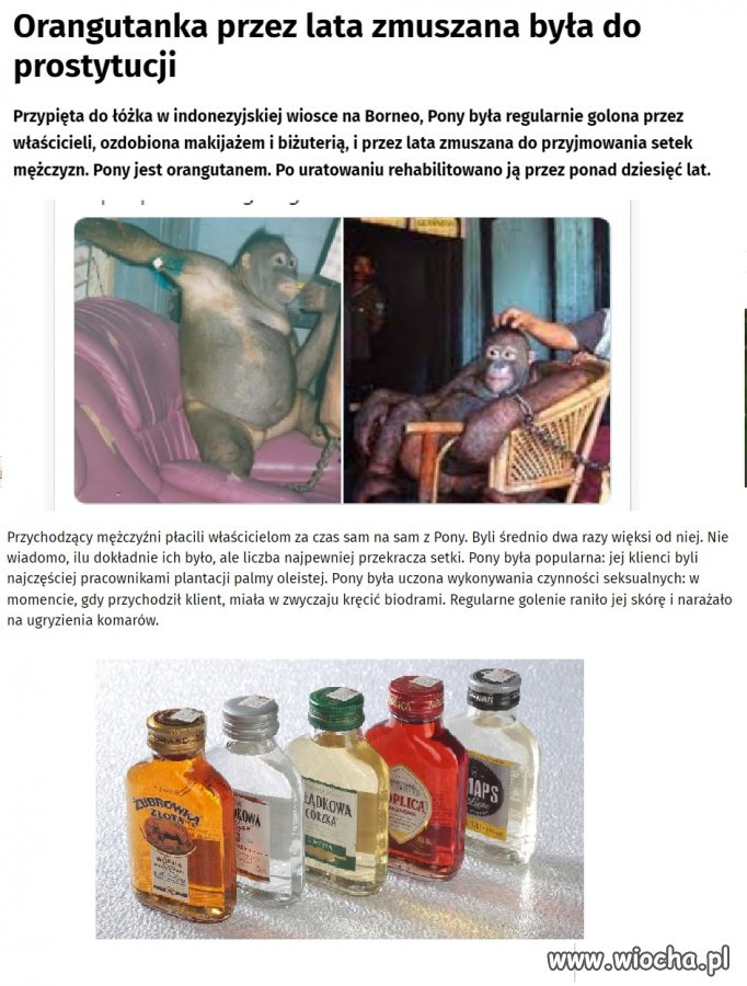 Nie zdradzam cię...na małpce tylko byłem z kolegą