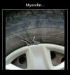 Dobra marka 