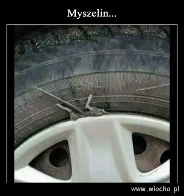 Dobra marka 