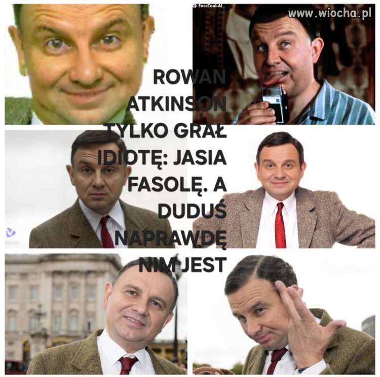 CI - Człowiek Idiota
