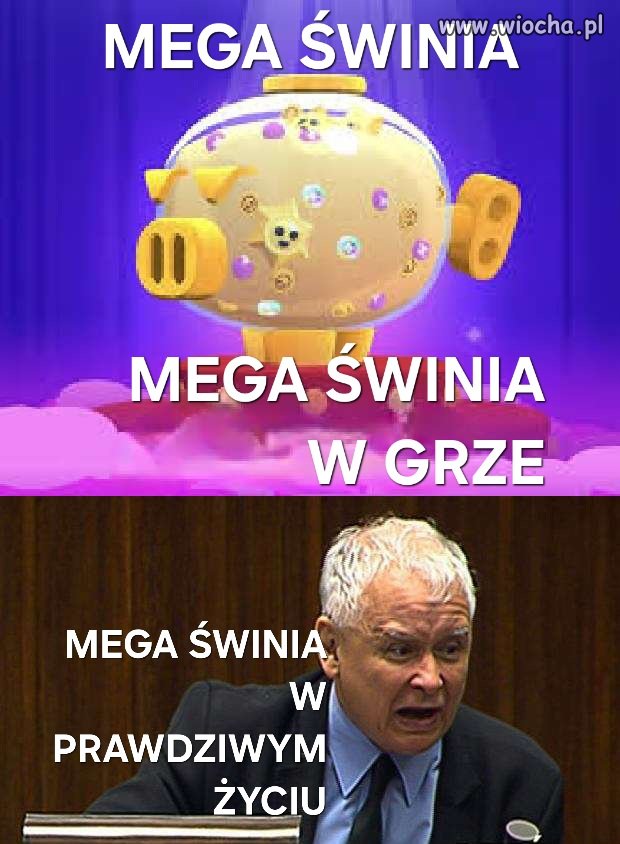 Tylko tu zostawię