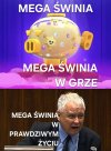 Tylko tu zostawię