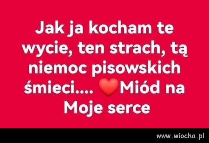 Jak ja to lubię ...