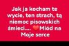 Jak ja to lubię ...
