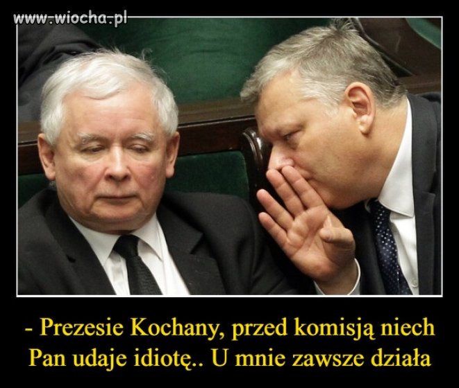 Suski nigdy nie musiał udawać ...