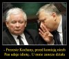 Suski nigdy nie musiał udawać ...