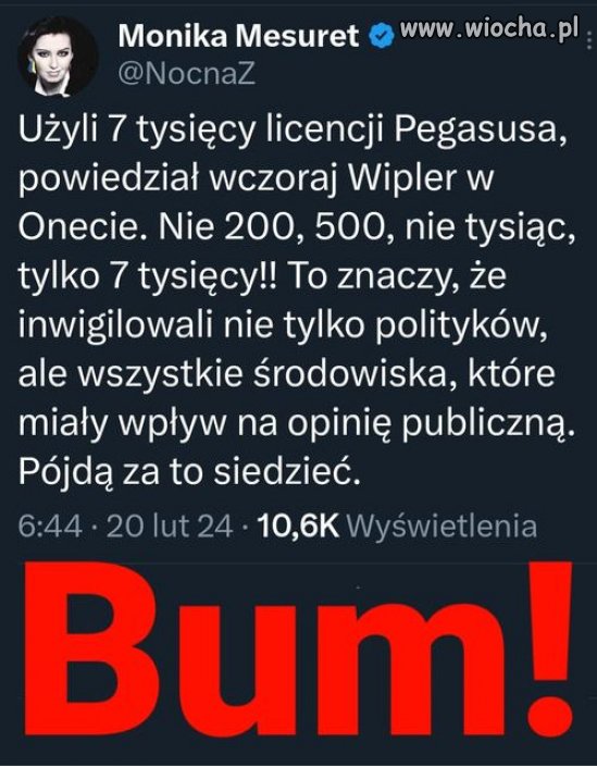 Czas najwyższy zrobić porządek z szumowinami Pisowskimi