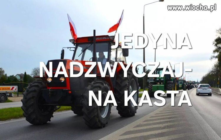 Chłopi