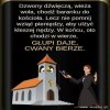 Głupi kasy nie potrzebuje i rozdaje