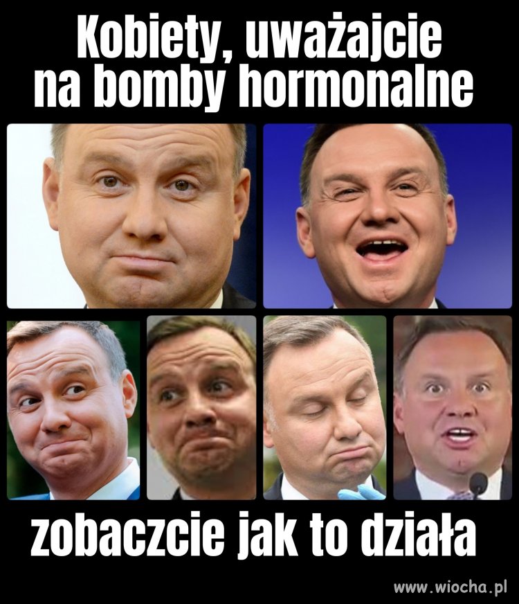Prezentacja wybitnego specjalisty 