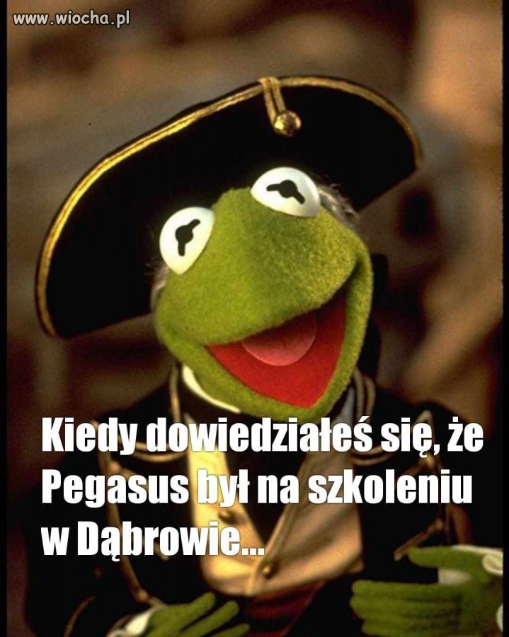 I już wszystkie PiSdy zostały dogłębnie wyszkolne