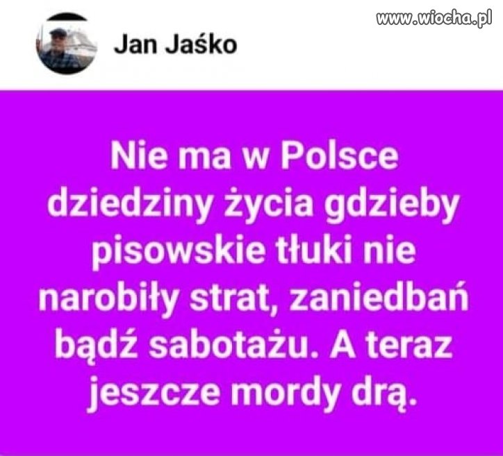 Za to wszędzie gdzie się dało kradli