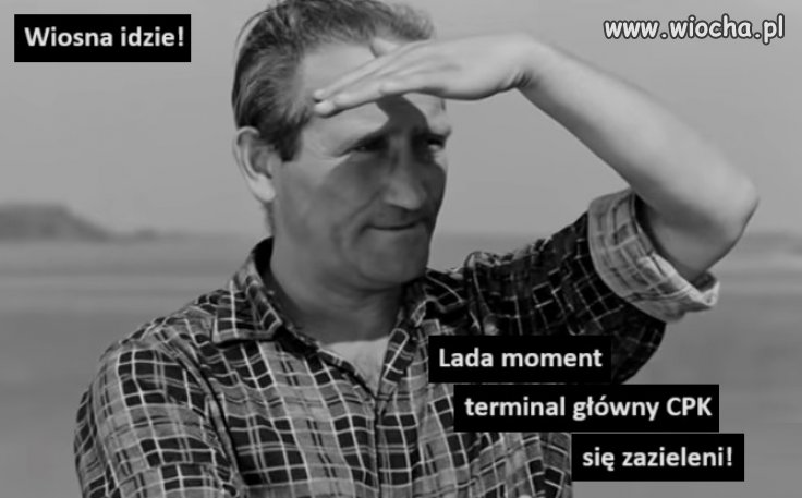 Czuć już wiosnę