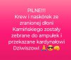 Biznesik się kręci 
