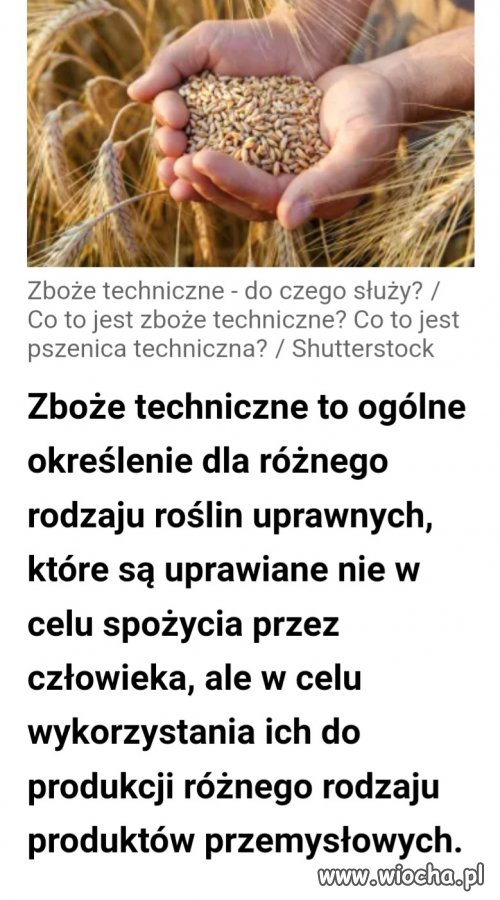 Znaleźliście już listę tych, którzy nas tym karmią