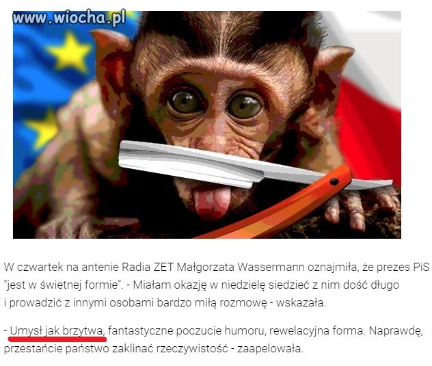 Umysł jak brzytwa