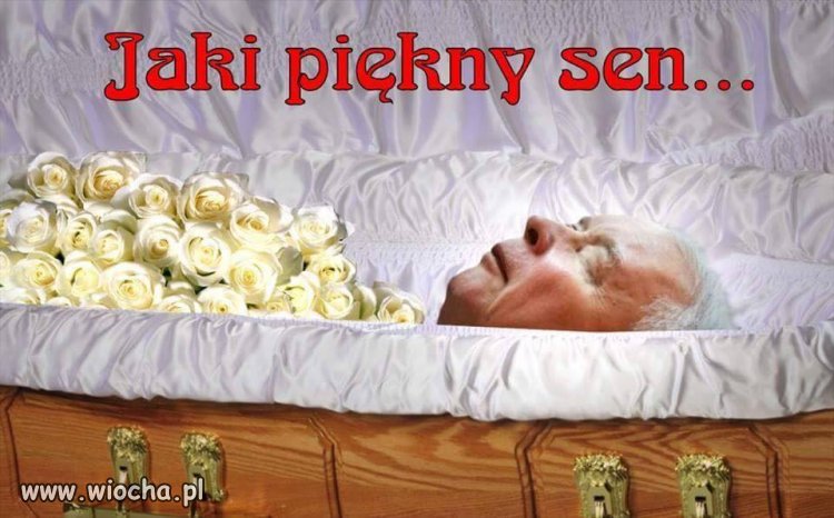 Tytuł zbędny...