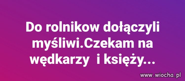 Jeszcze prostytutek tam brakuje, 