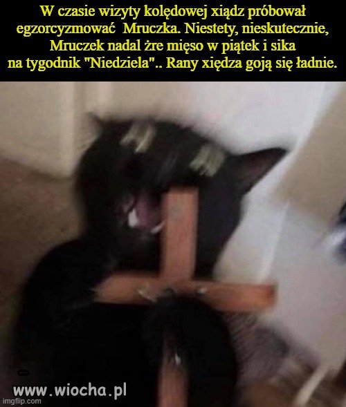 Z gazetki parafialnej