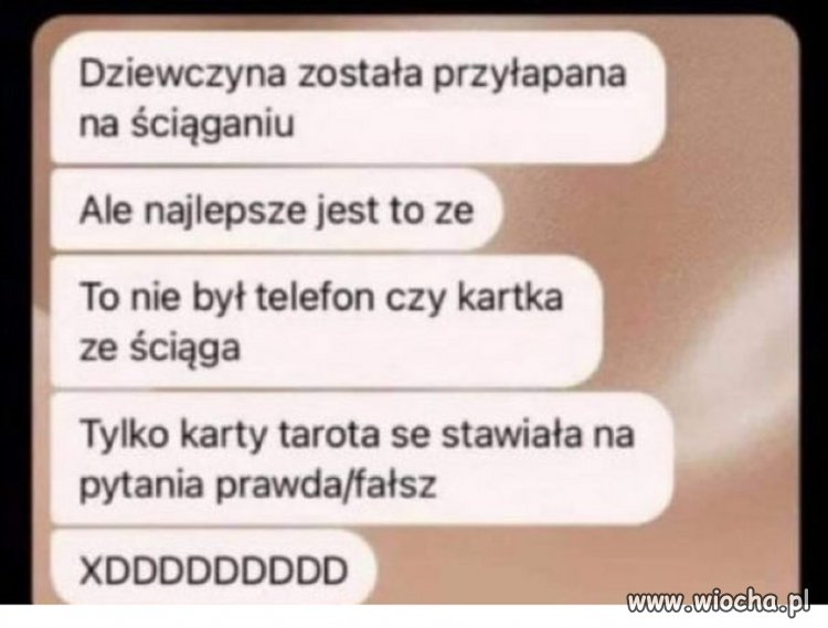Mają babeczki pomysły