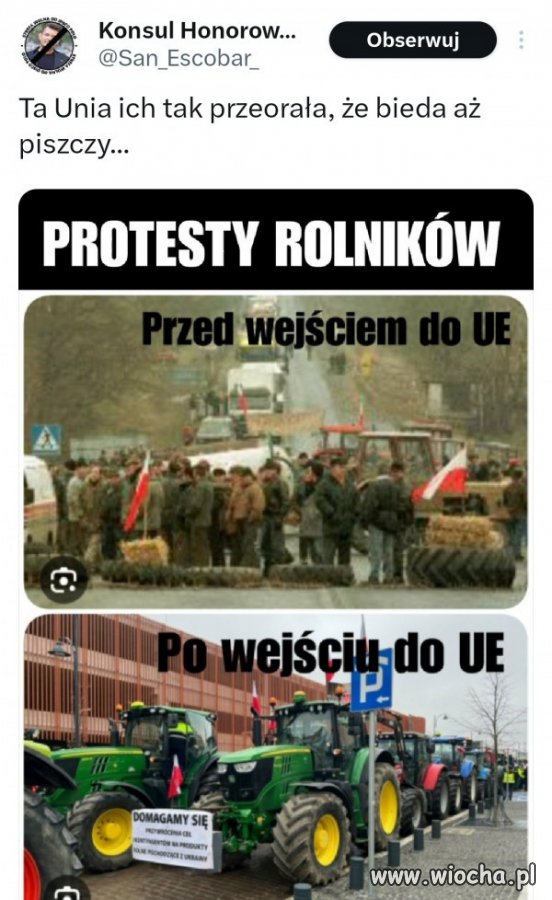 Ślepi zwolennicy Unii to kolejna w Polsce sekta polityczna