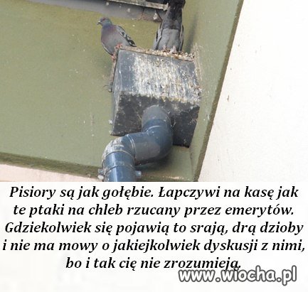 Jeżdżą po całym kraju
