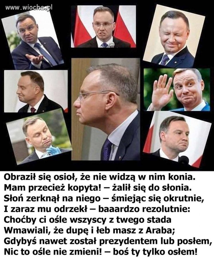 Gdybyś nawet został prezydentem lub posłem...
