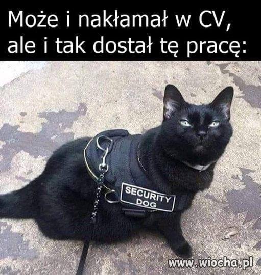Gdy bardzo nakłamiesz w CV
